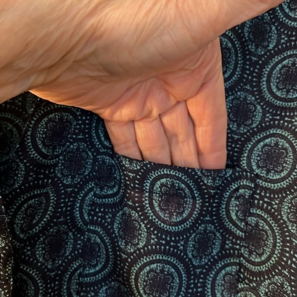 The Limited long sleeved, sheer blouse. Button down front. Size Small. - Picture 6 of 10